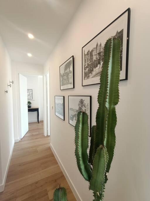 The Chic Liberation Appartement Nice Buitenkant foto