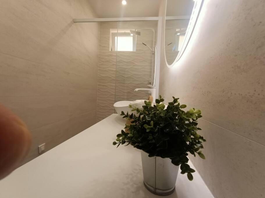 The Chic Liberation Appartement Nice Buitenkant foto